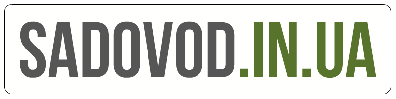 садовод агрегатор интернет-магазин. садовод рынок в москве. торговый комплекс садовод. рынок садовод схема рядов. садовод вещевой рынок москва.