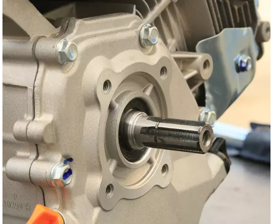 Двигун бензиновий IRON ANGEL FAVORITE 212-T/20 (7.5 л.с., шліц 20 мм), фото , зображення 4