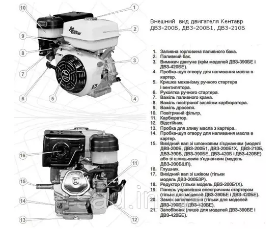 Двигун бензиновий КЕНТАВР ДВЗ-200Б1 (6.5 к.с., шпонка 20 мм), фото , зображення 6